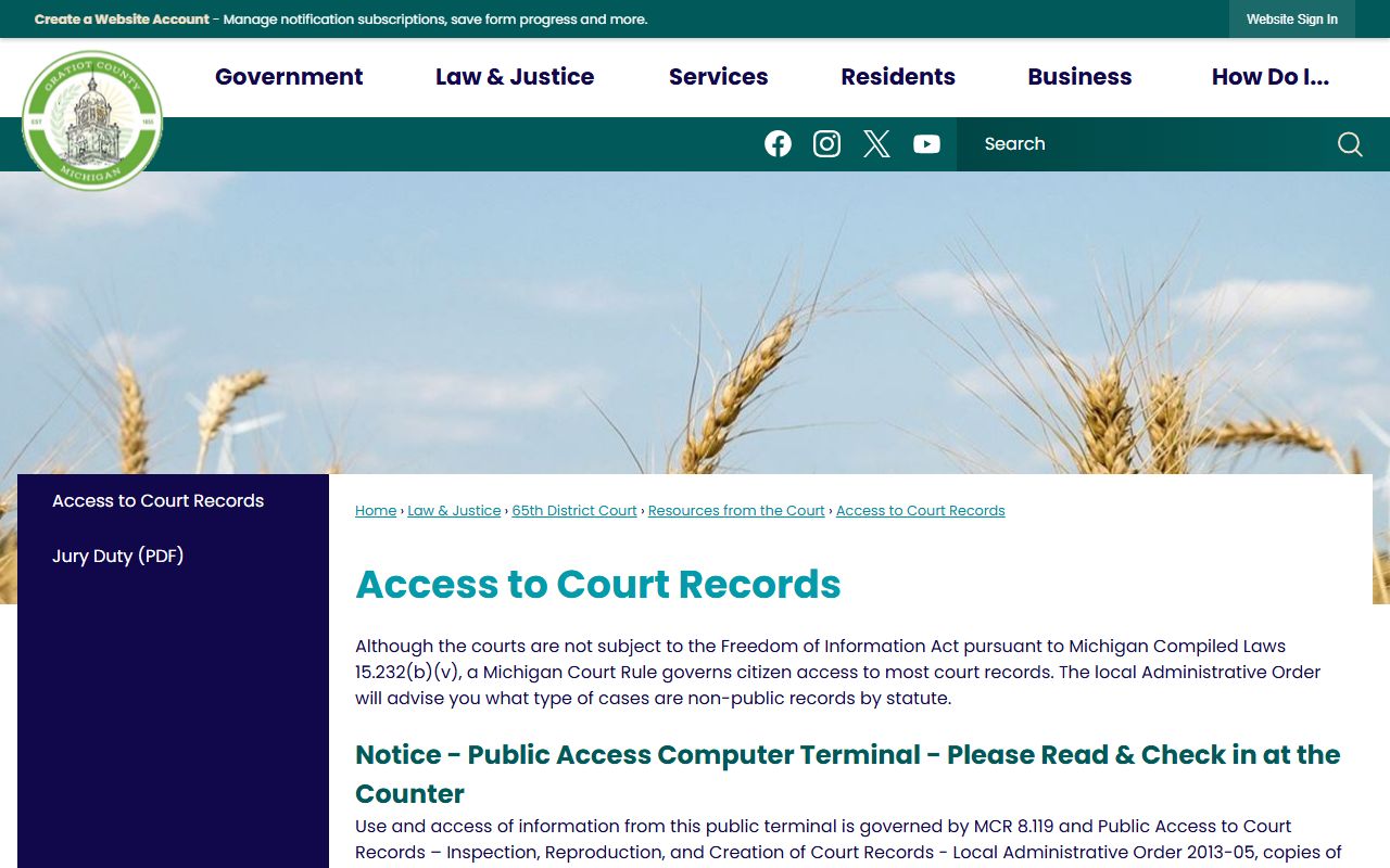 Gratiot County court records access rules and public terminal hours