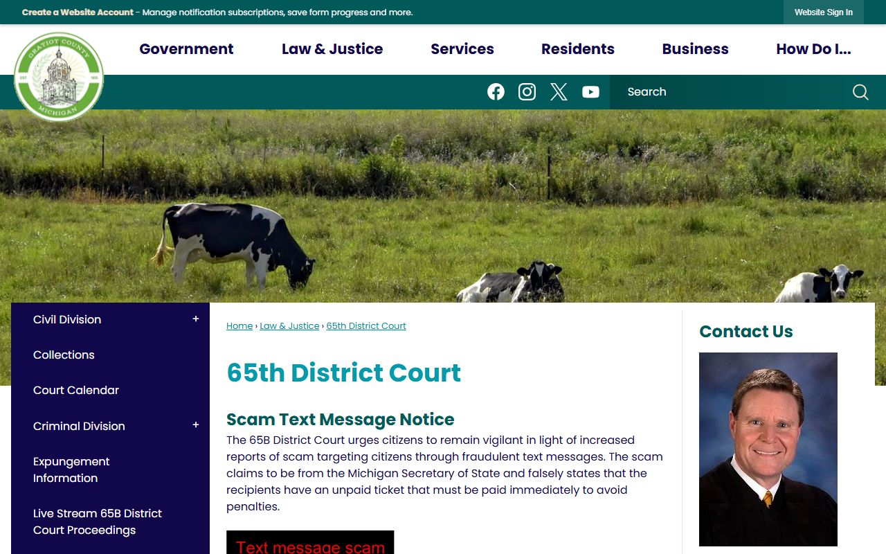 Gratiot County court records at the 65B District Court landing page